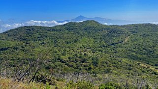 Parc national de Garajonay - La Gomera La Gomera 2023